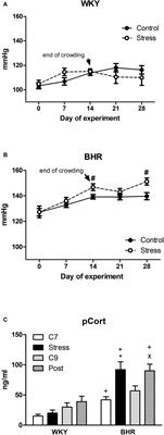 Chronic Stress Produces Persistent Increases in Plasma Corticosterone, Reductions in Brain and Cardiac Nitric Oxide Production, and Delayed Alterations in Endothelial Function in Young Prehypertensive Rats